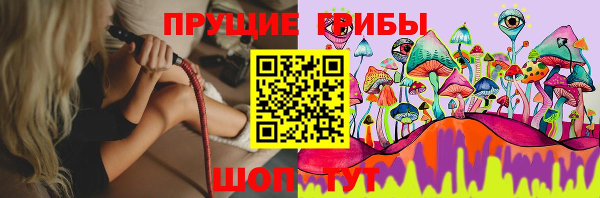 Галлюциногенные грибы Psilocybine cubensis Таганрог